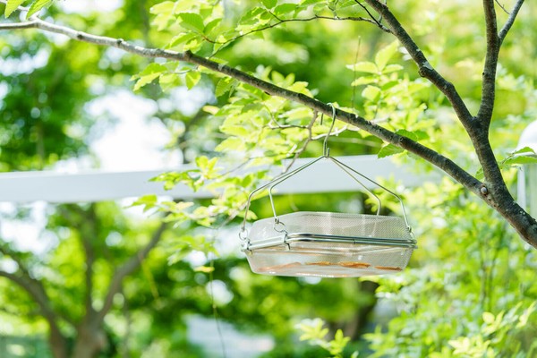 ヨシカワ（yoshikawa） ドライフルーツや干し野菜が作れるコンパクトなステンレス角型干しかご YJ3477 thumbnail 8