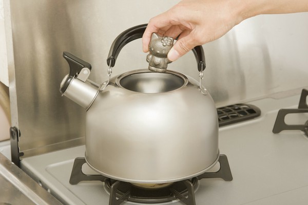 池永鉄工（いけながてっこう） 南部鉄器 鉄野菜 なすび 119 thumbnail 4