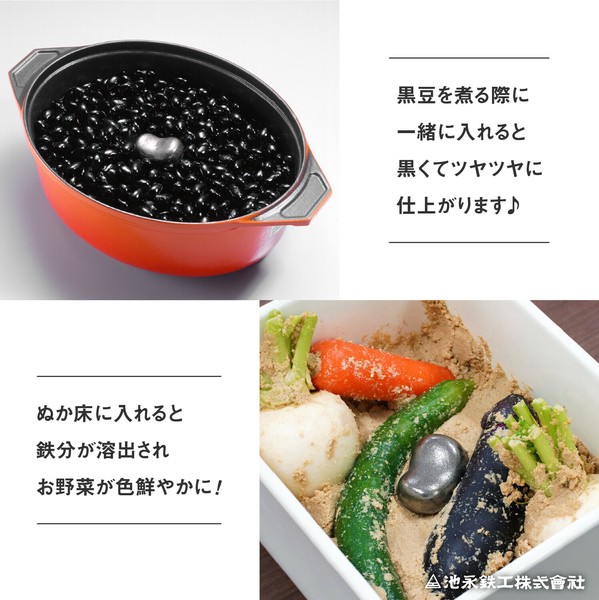 池永鉄工（いけながてっこう） 南部鉄器 鉄野菜 なすび 119 thumbnail 7