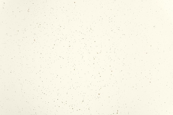 IRIS OHYAMA（アイリスオーヤマ） ナチュかるフライパン24cm 品番NTL-F24PG 色パールグレー×アイボリー thumbnail 7