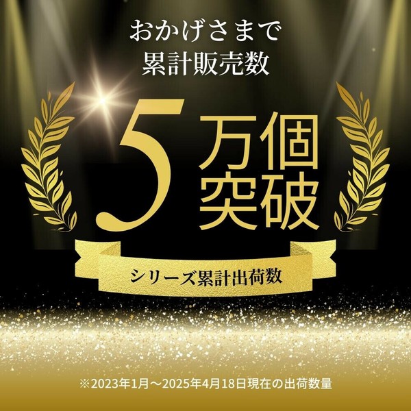 PARK LANE（パークレーン） 折りたたみ踏み台 39ワイド ダークグレー すべり止め付 K-10704DGY thumbnail 2