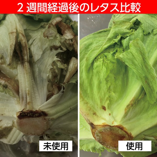 TableCraft（テーブルクラフト） 鮮度保持 イエローグリーン 野菜 果物 鮮度を保つ 日持ち 置くだけ 510-06 thumbnail 3
